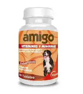 Amigo Frasco X 60 Tabl.