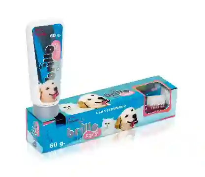 Brillo Dental X 60 Gms