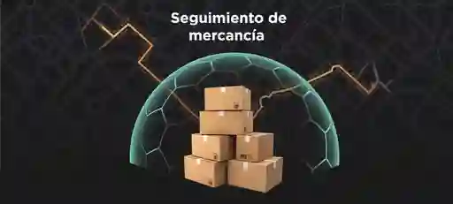Gps Para Activos