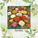 600 Semillas De Flor Amapola De California - Mission Bells