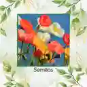 1.500 Semillas De Flor Amapola De California - Mission Bells