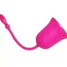 Lush Falso Copa Menstrual