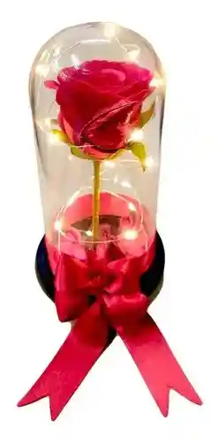 Rosa Flor Eterna Preservada Con Luz Led Domo Petalos (pilas No Incluidas)