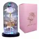 Rosa Flor Eterna Preservada Con Luz Led Domo Petalos (pilas No Incluidas)