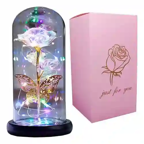 Rosa Flor Eterna Preservada Con Luz Led Domo Petalos (pilas No Incluidas)