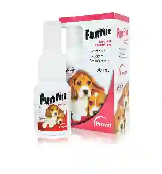 Funhit X 50 Ml