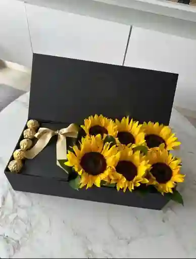 Caja De Girasoles