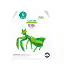 Juego Didáctico Flashcards Educativas Bichos Para Niños