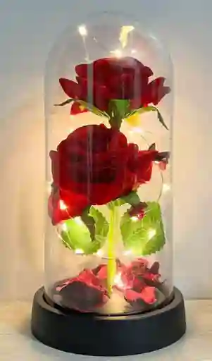 Rosas 2 Inmortalizadas