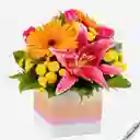Regalo Radiante(lirio, Rosas, Gerberas)