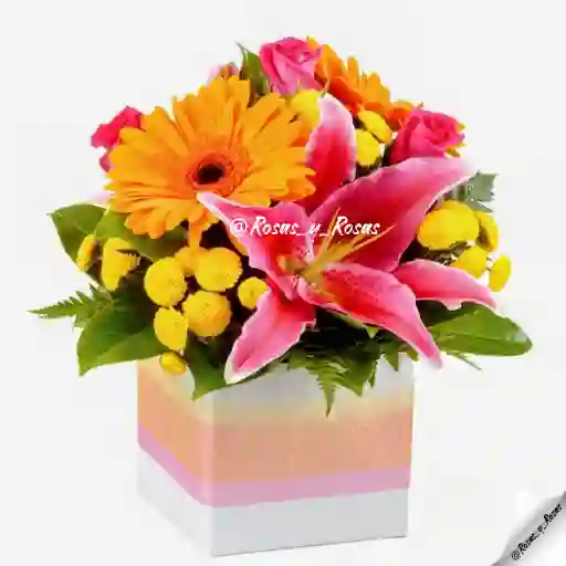 Regalo Radiante(lirio, Rosas, Gerberas)