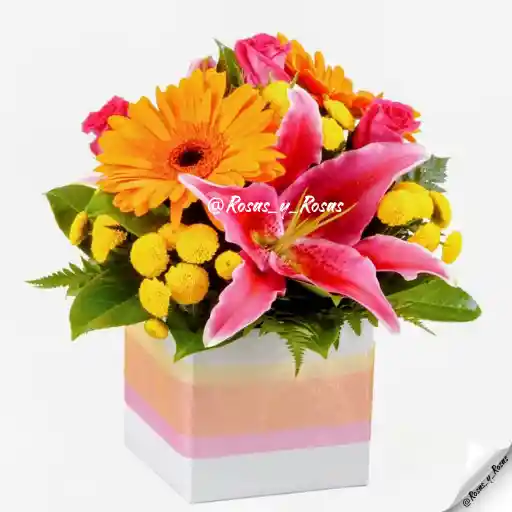 Regalo Radiante(lirio, Rosas, Gerberas)