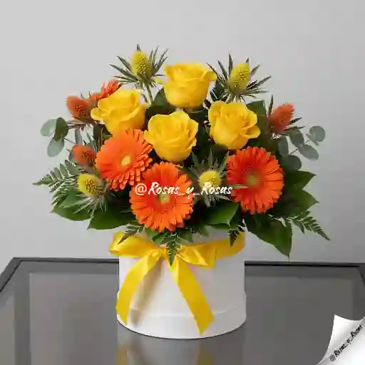 Amanecer Soleado(rosas, Gerberas, Cardos)