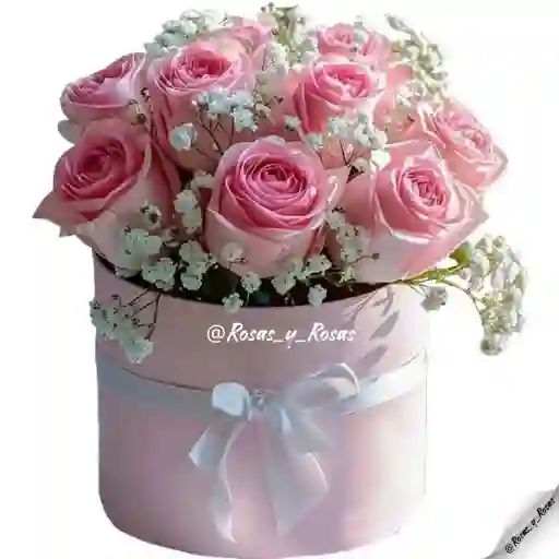 Susurro Rosado(rosas, Flores)