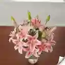 Susurro Lírico(lirios, Flores)