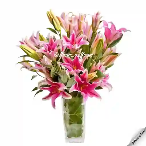 Susurro Lírico(lirios, Flores)