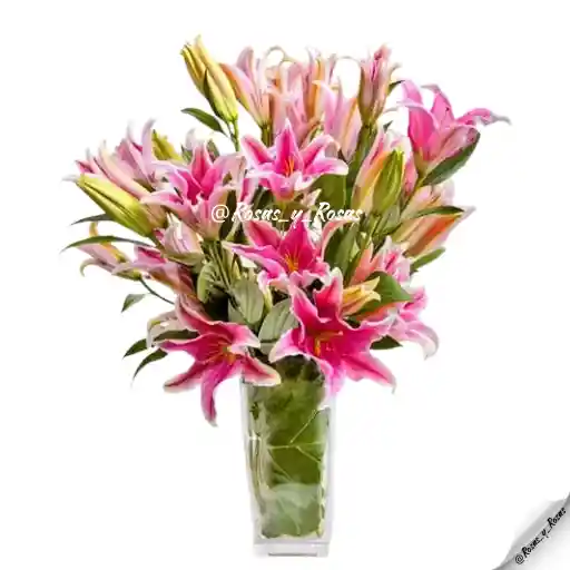 Susurro Lírico(lirios, Flores)