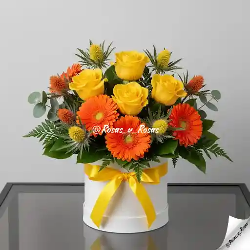 Amanecer Soleado(rosas, Gerberas, Cardos)