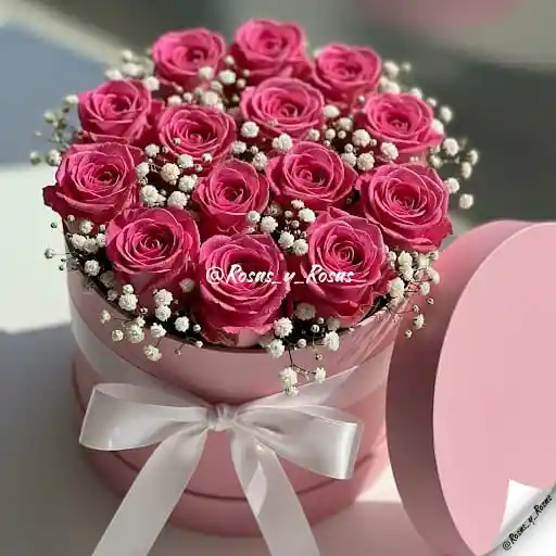 Susurro Rosado(rosas, Flores)