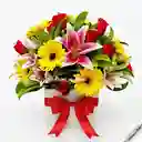 Jardín Radiante(lirios, Flores, Rosas)