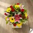 Jardín Radiante(lirios, Flores, Rosas)