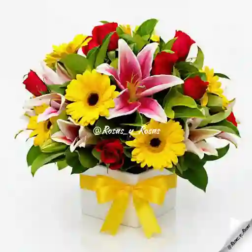 Jardín Radiante(lirios, Flores, Rosas)