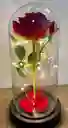 Rosa Inmortalizada