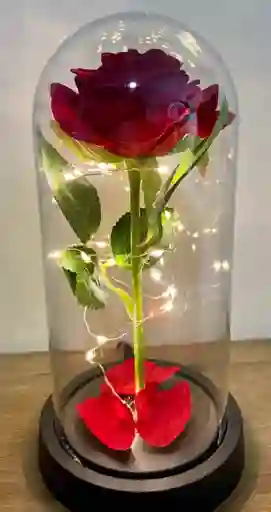 Rosa Inmortalizada
