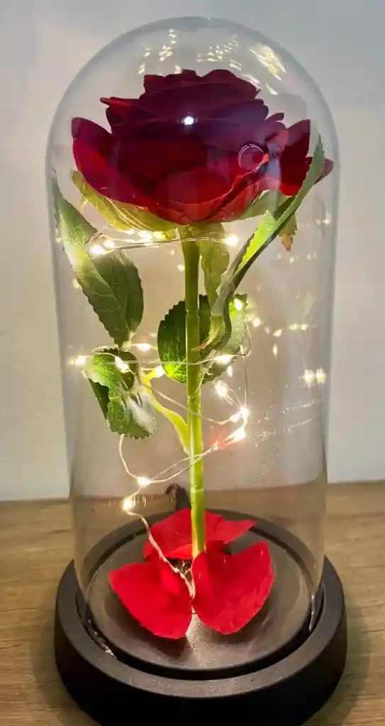 Rosa Inmortalizada