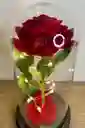 Rosa Inmortalizada