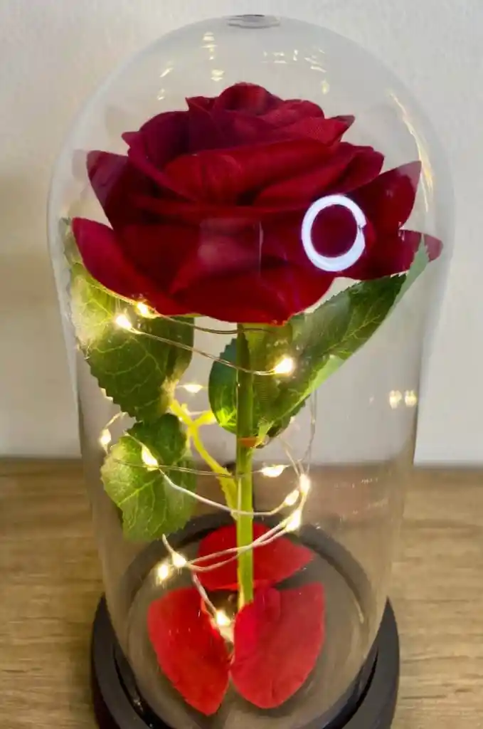 Rosa Inmortalizada