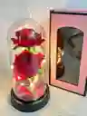 Rosa Inmortalizada 2flores