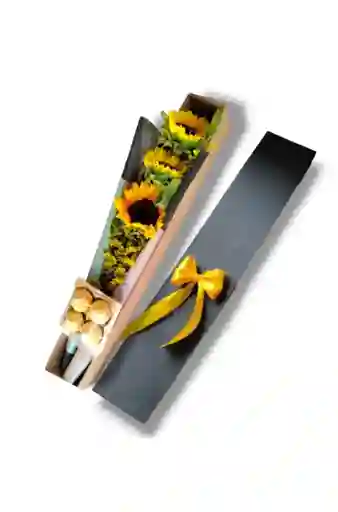 Caja De Girasoles