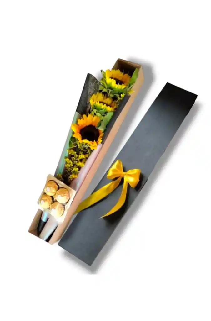 Caja De Girasoles
