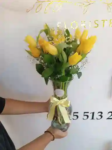 Tulipanes