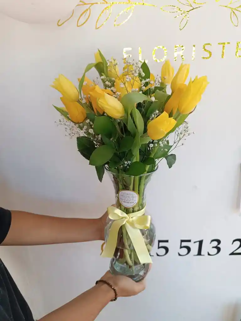 Tulipanes