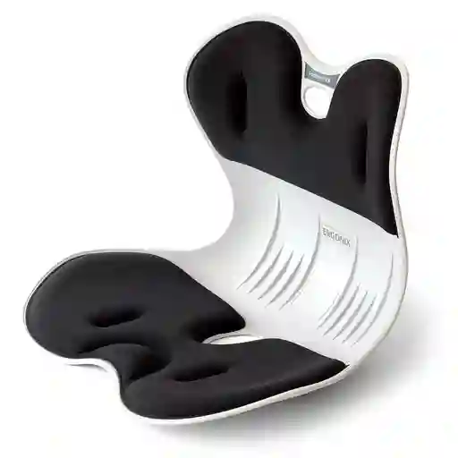 Silla Soporte Espalda Corrector Lumbar
