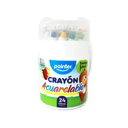 Crayolas Acuarela 24 Unidades Forma De Osos Pointer Niños