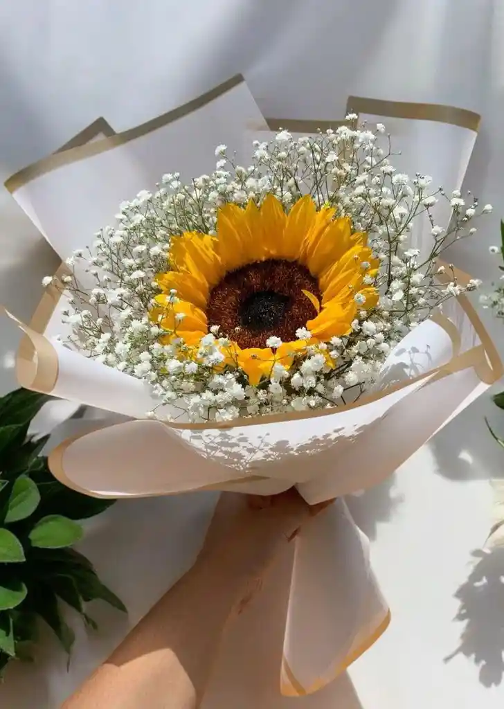 Girasol