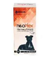 Neoplex Oral Frasco X 120 Ml (vitam Y Mineral)