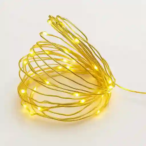 Luces Led Expressions Arroz Calida 50 Pz 500cm 4.5 V