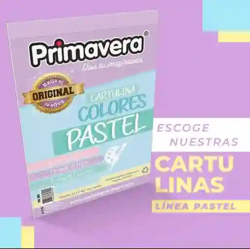Cartulina Colores Pastel Octavo X 10 Unidades Primavera