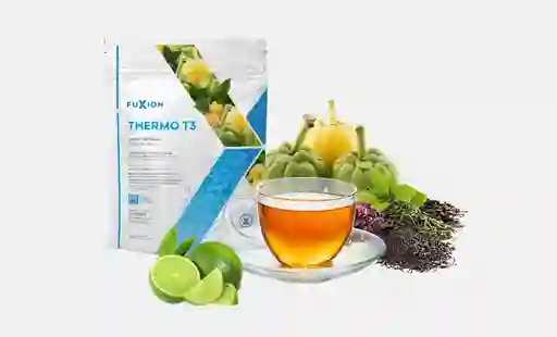 Thermo T3