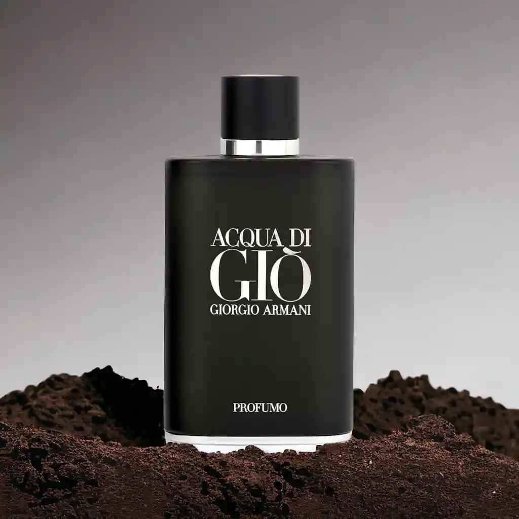 Perfume Acqua Di Gio Profumo De Giorgio Armani Para Hombre Edt X 100 Ml Aaa