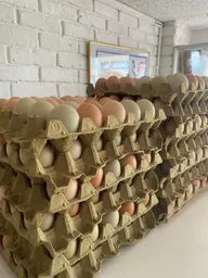 Huevos Criollos