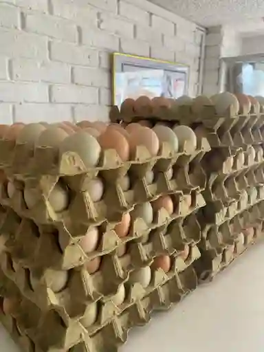 Huevos Criollos