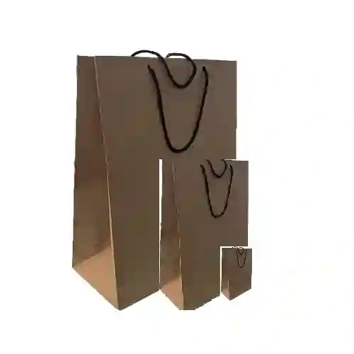 Bolsa De Regalo Craft 12x17 Aprox