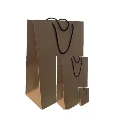 Bolsa De Regalo Craft 25 X 35 Cm Aprox