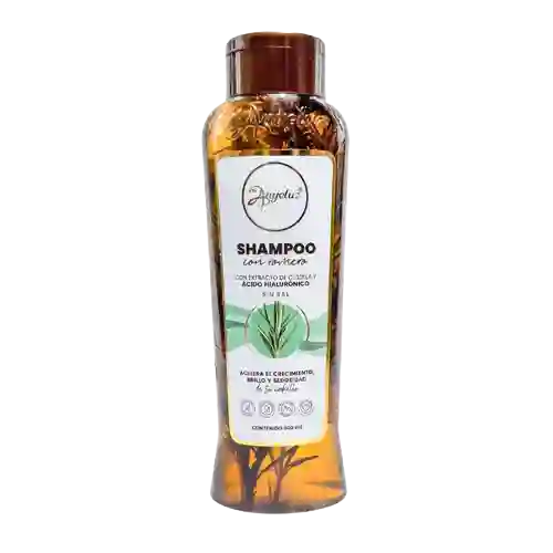 Shampoo Con Romero Anyeluz
