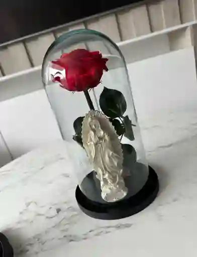 Rosa Preservada